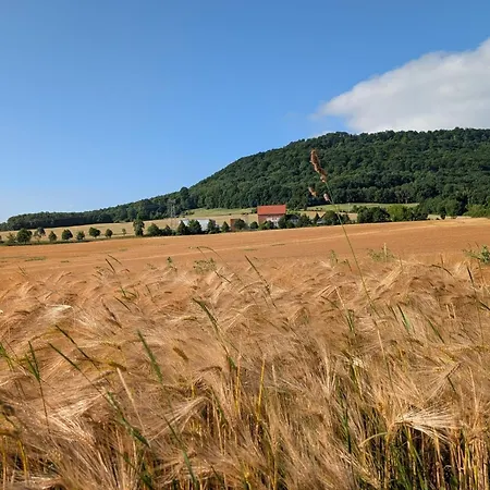 Orphelia - Harznahe Auszeit Im Eichsfeld Ferienhaus