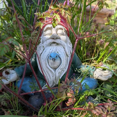 Orphelia - Harznahe Auszeit Im Eichsfeld